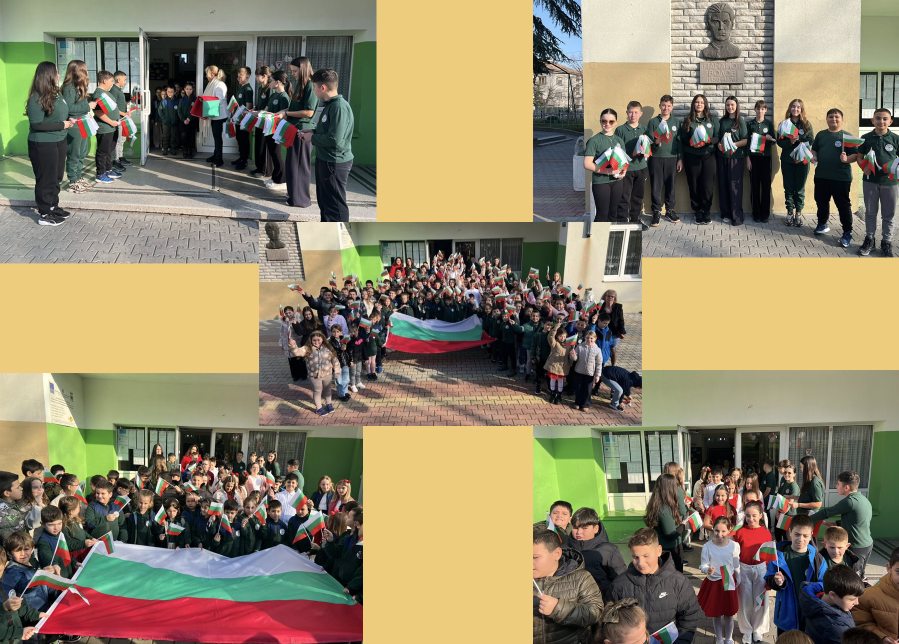 Розова Фланелка